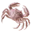tier